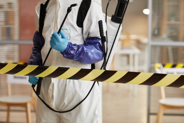 Professional Odor Removal technician working in Walsh, IL