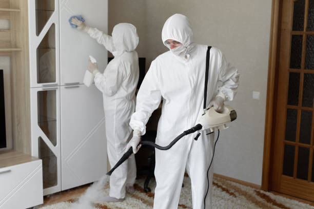 24/7 Emergency Odor Removal experts in Walsh, IL